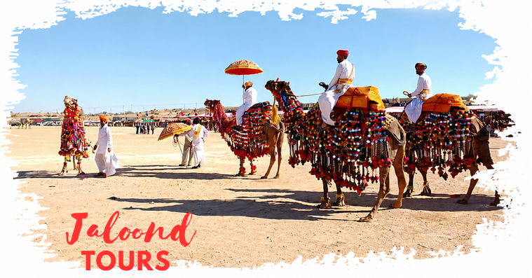 Jaipur Sightseeing Tour 